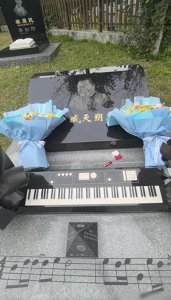 ​臧天朔墓地现状曝光，少数粉丝节假日去献花，平时很冷清快被遗忘