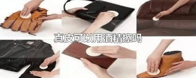​真皮可以用酒精擦吗 真皮可以用酒精擦吗会掉色吗