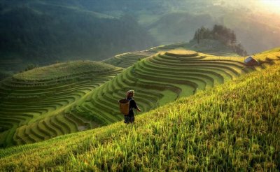 ​三百六十行，行行出状元，360行到底是指哪些行业？