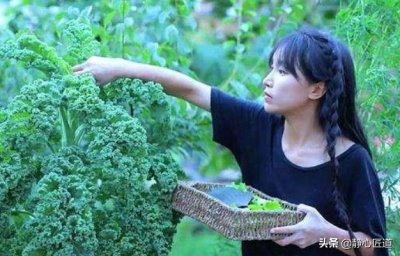 ​李子柒的真实颜值(get不到小李子的颜值)