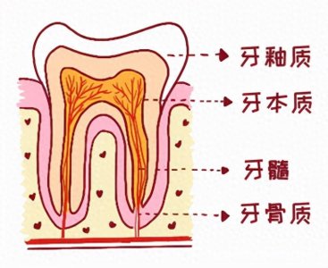 ​宝宝长牙顺序，你了解多少？