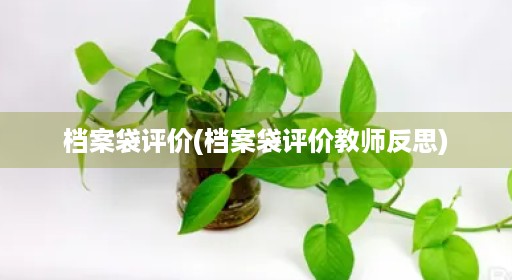 档案袋评价(档案袋评价教师反思) 档案袋评价(档案袋评价教师反思)