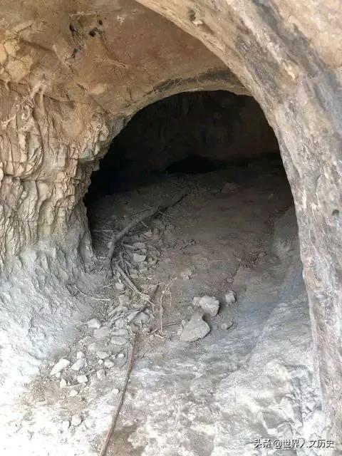 夜线新婚夫妻被四名歹徒杀害详情（山东4歹徒见色起意）(8)