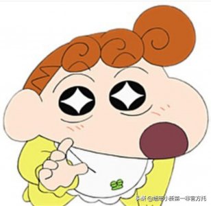 ​蜡笔小新：人物介绍篇（4）向着太阳的女版小新-野原向日葵