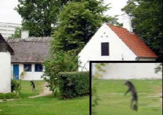 河童遗骨是什么东西 真实河童最恐怖的图片