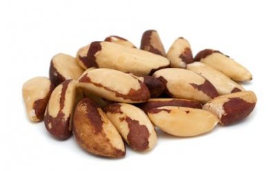 ​巴西栗的营养价值