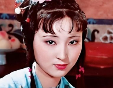 ​林黛玉父亲病危时谁带她去奔丧的