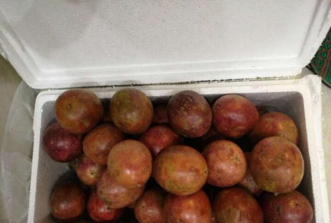 百香果如何保鲜?