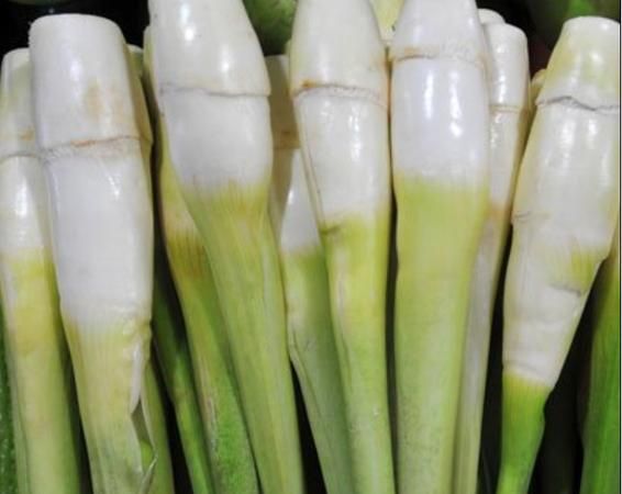 茭白切开为何有黑点,能食用吗