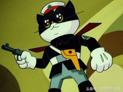 ​奶牛猫，作为一只神经质的猫咪，是如何成为猫中哈士奇的？