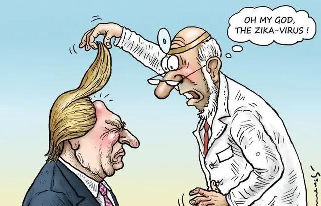 长尾巴的动物,两条腿一个尾巴有什么动物?图4