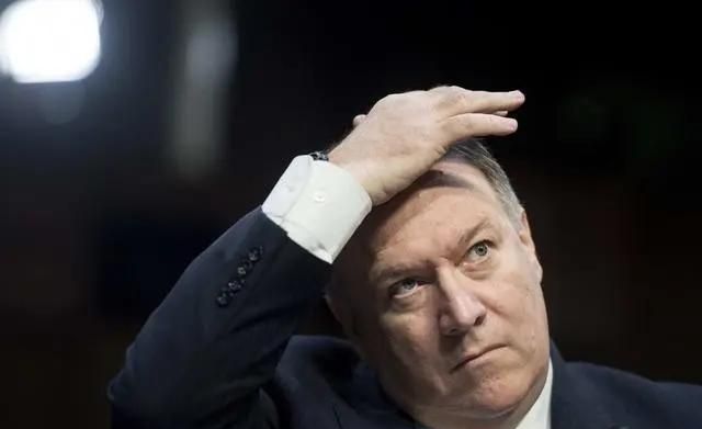 长尾巴的动物,两条腿一个尾巴有什么动物?图3