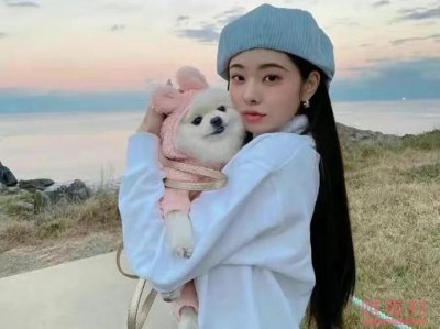 ​全知干预视角剪掉宋智雅全部镜头 宋智雅穿假货风波影响大