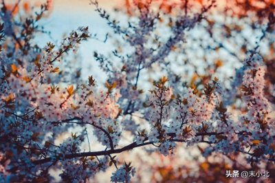 ​人到中年，如果异性对你有这两种行为，就不要联系了