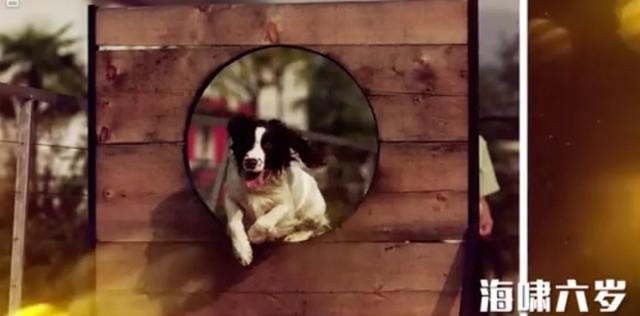 汶川地震搜救真实现场（汶川地震67名搜救）(6)