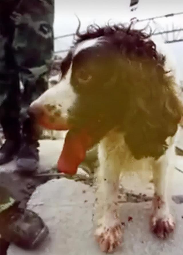 汶川地震搜救真实现场（汶川地震67名搜救）(7)