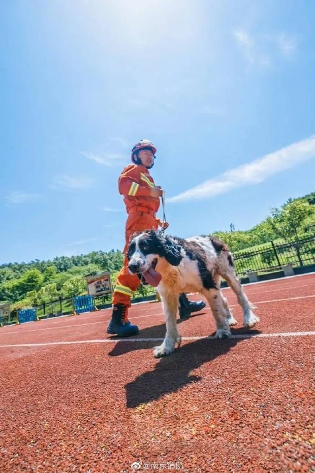 汶川地震搜救真实现场（汶川地震67名搜救）(13)