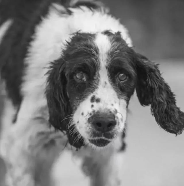 汶川地震搜救真实现场（汶川地震67名搜救）(8)