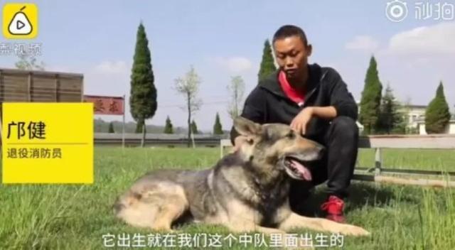 汶川地震搜救真实现场（汶川地震67名搜救）(5)