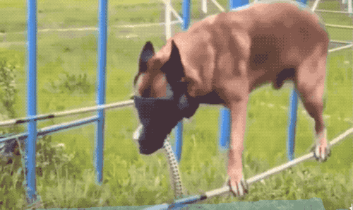 汶川地震搜救真实现场（汶川地震67名搜救）(11)