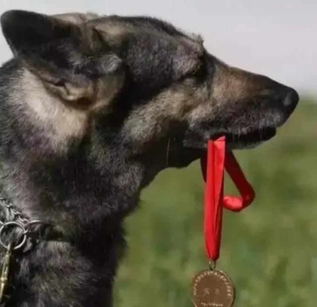 汶川地震搜救真实现场（汶川地震67名搜救）(4)