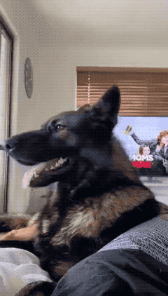 汶川地震搜救真实现场（汶川地震67名搜救）(12)