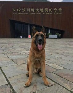 ​汶川地震搜救真实现场（汶川地震67名搜救）