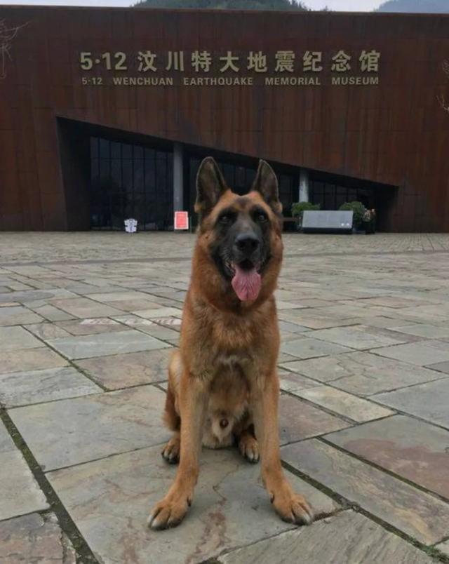 汶川地震搜救真实现场（汶川地震67名搜救）(1)