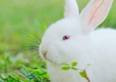 ​阿三、棒子、毛子，海外各国的绰号怎么来的？中国外号更难解释