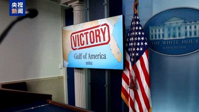 ​美法官拒绝恢复美联社对白宫发布会采访权 将再次举行听证会