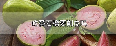 ​番石榴需要削皮吗 番石榴削皮么