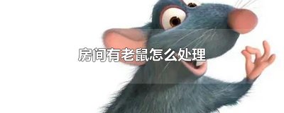 ​房间有老鼠怎么处理