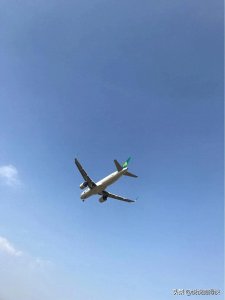 ​打卡广州白云机场网红拍摄地近距离看飞机降落之明星村