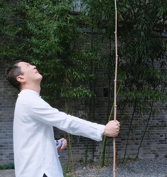 李亚鹏和王菲的婚姻（李亚鹏豪掷4亿开民宿）(1)