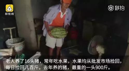 非诚勿扰公认五大女神（宁静自曝结婚时不爱前夫）