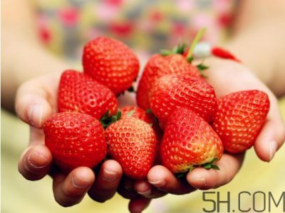 ​奶油草莓和巧克力草莓哪个更好吃？奶油草莓的区分