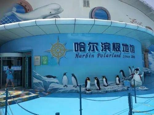 哈尔滨必去的十大景点(哈尔滨10个必去的打卡景点)插图2 哈尔滨必去的十大景点(哈尔滨10个必去的打卡景点)插图2