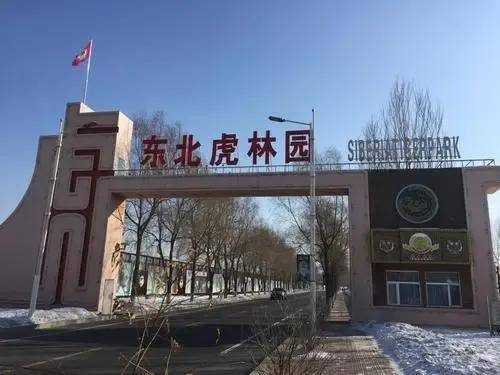 哈尔滨必去的十大景点(哈尔滨10个必去的打卡景点)插图4 哈尔滨必去的十大景点(哈尔滨10个必去的打卡景点)插图4