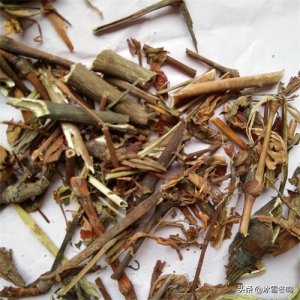 ​羊红膻竟然和烹饪有关？原来它曾是一种极为冷门的香料