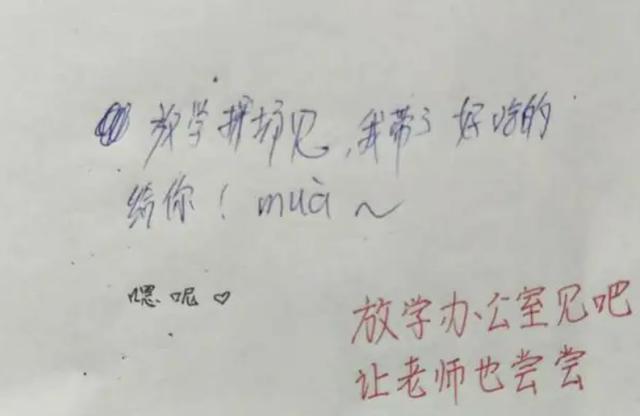 小学生情书爆红网络（小学生情书走红）(3)