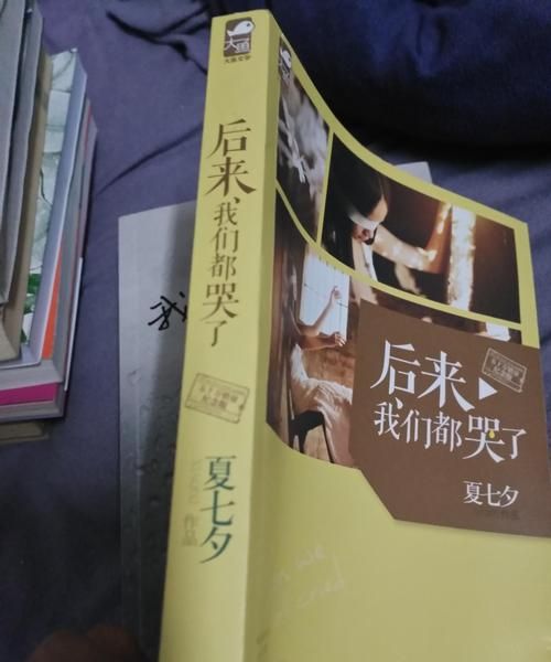 夏七夕的后来我们都哭了是真实故事吗?