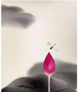 ​夫妻关系的实质是什么(夫妻关系的最好诠释)