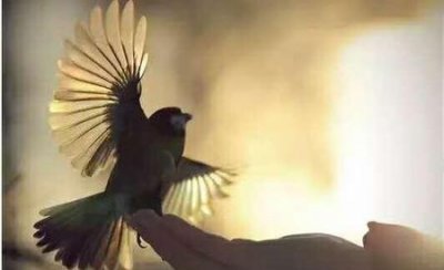 ​邀请很久没联系的朋友当伴娘