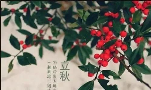 2025年三伏天时间表，2000-2025三伏时间？图3