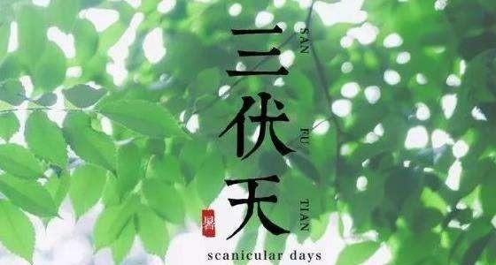 2025年三伏天时间表，2000-2025三伏时间？图2