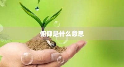 ​俯仰是什么意思