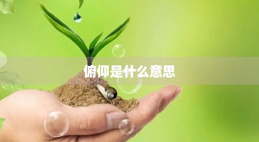 俯仰是什么意思