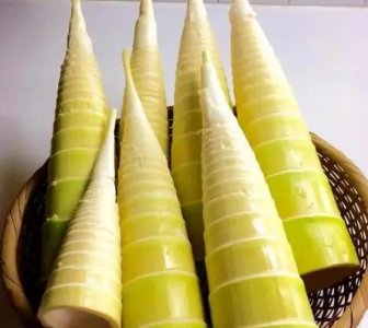 ​竹笋如何去除苦味，海南竹笋怎么去除苦味？