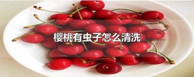 ​怎么清洗樱桃里的虫子视频教程 怎么清洗樱桃里的虫子视频讲解