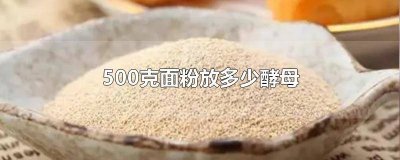 ​做面包500克面粉放多少酵母粉 做面包500克面粉放多少酵母合适